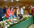 Výstava hub v Domě přírody Blaníku
